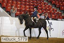 14buck_5779 proof