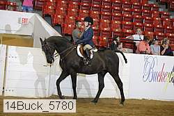 14buck_5780 proof