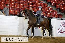 14buck_5781 proof