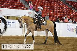 14buck_5782 proof