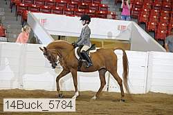 14buck_5784 proof