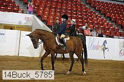 14buck_5785 proof