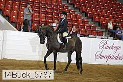 14buck_5787 proof