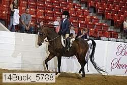 14buck_5788 proof
