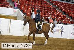 14buck_5789 proof