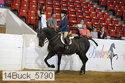 14buck_5790 proof