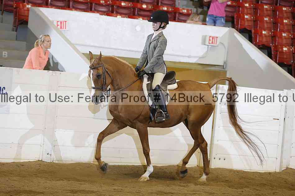 Proof 14buck_5792