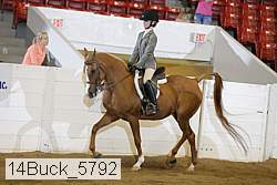 14buck_5792 proof