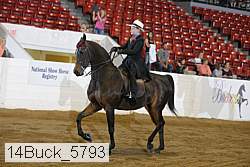 14buck_5793 proof