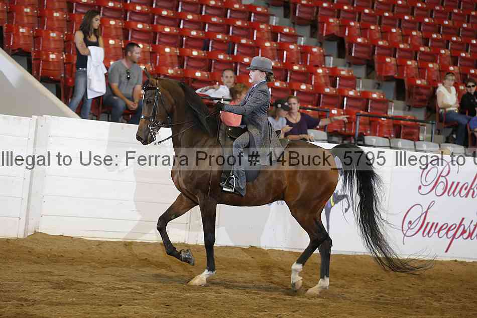 Proof 14buck_5795