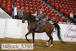 14buck_5795 proof