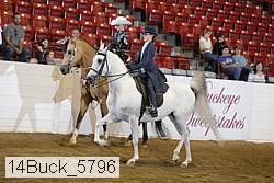 14buck_5796 proof