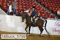 14buck_5799 proof