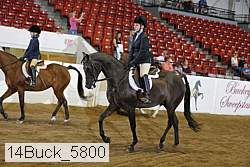 14buck_5800 proof