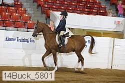 14buck_5801 proof