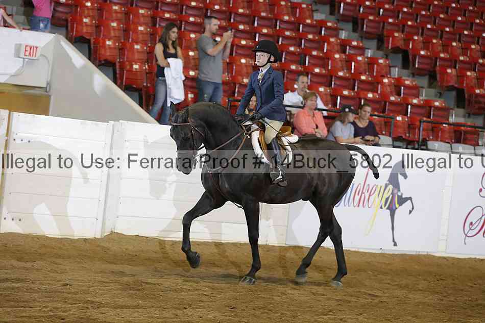 Proof 14buck_5802
