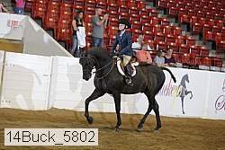14buck_5802 proof