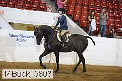 14buck_5803 proof