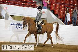 14buck_5804 proof