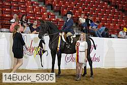 14buck_5805 proof