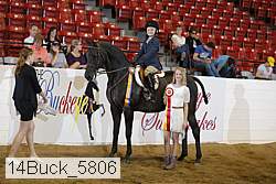 14buck_5806 proof