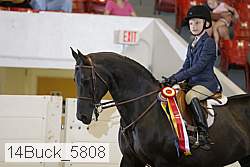 14buck_5808 proof
