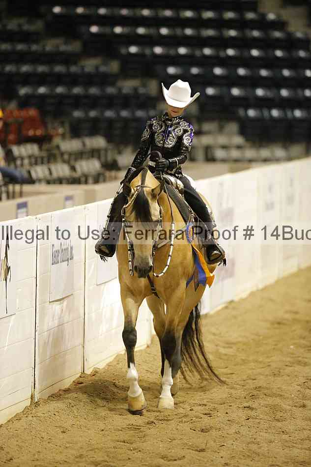 Proof 14buck_5818