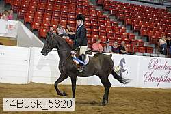 14buck_5820 proof