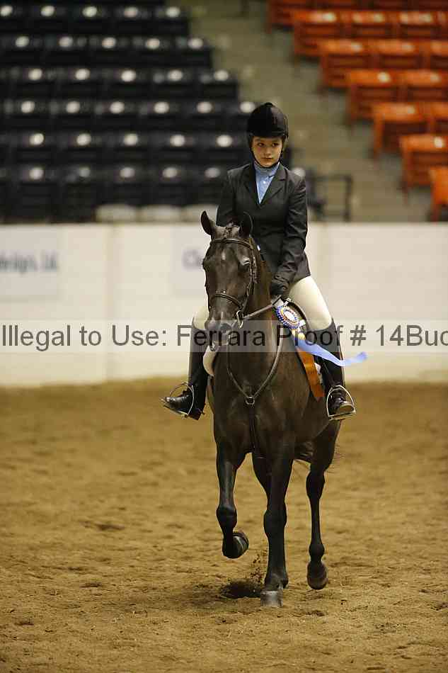 Proof 14buck_5821
