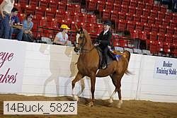14buck_5825 proof