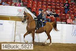 14buck_5827 proof