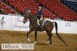 14buck_5828 proof