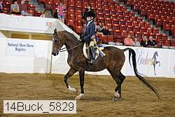 14buck_5829 proof