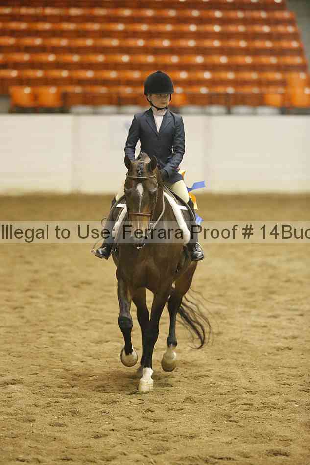 Proof 14buck_5833