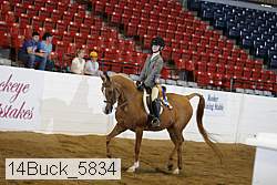 14buck_5834 proof
