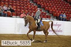14buck_5835 proof