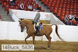 14buck_5836 proof