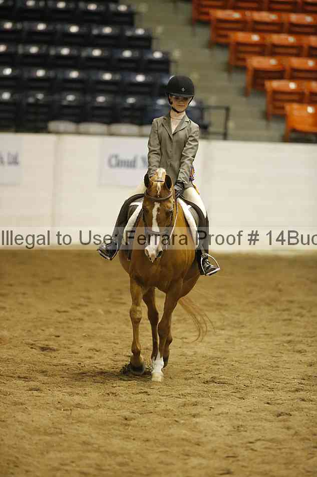 Proof 14buck_5837