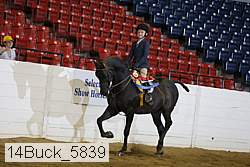 14buck_5839 proof