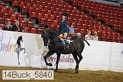 14buck_5840 proof