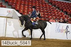 14buck_5841 proof