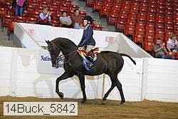 14buck_5842 proof
