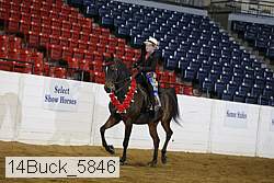 14buck_5846 proof