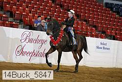 14buck_5847 proof