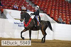 14buck_5849 proof