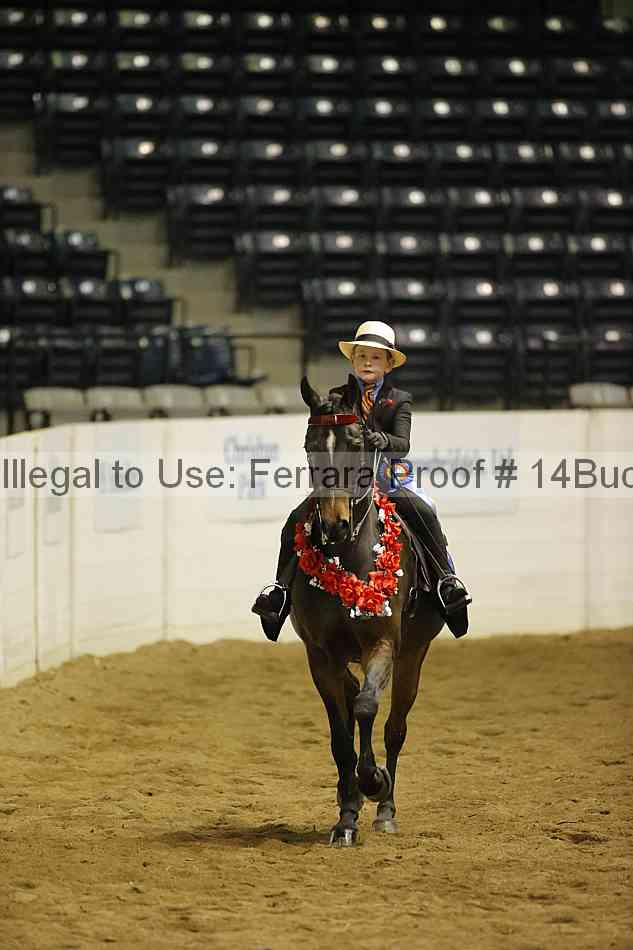 Proof 14buck_5850
