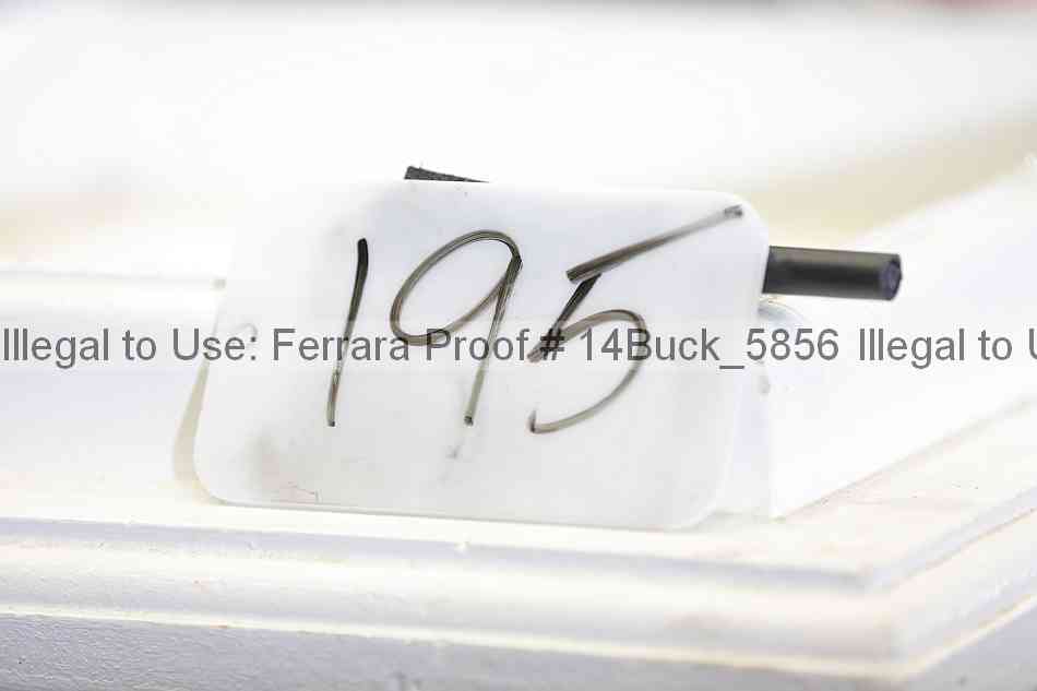 Proof 14buck_5856