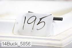 14buck_5856 proof