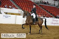 14buck_5857 proof