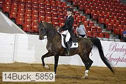14buck_5859 proof